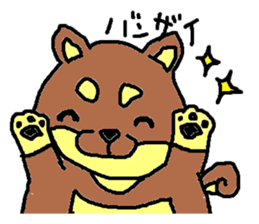 shiba chan dog sticker #3868407