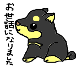 shiba chan dog sticker #3868412