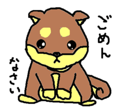 shiba chan dog sticker #3868414