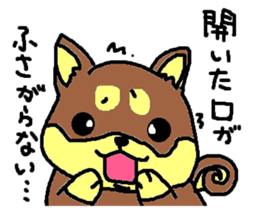 shiba chan dog sticker #3868423
