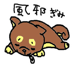 shiba chan dog sticker #3868425