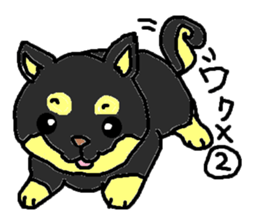 shiba chan dog sticker #3868426