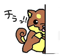 shiba chan dog sticker #3868432