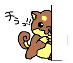 shiba chan dog sticker #3868432