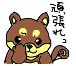 shiba chan dog sticker #3868434