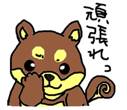 shiba chan dog sticker #3868434
