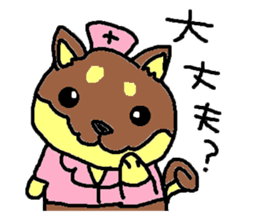 shiba chan dog sticker #3868440