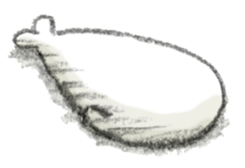 Kawaii azarashi dayo sticker #3868714