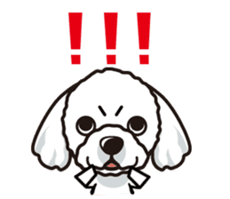 iinu - Maltese sticker #3870933