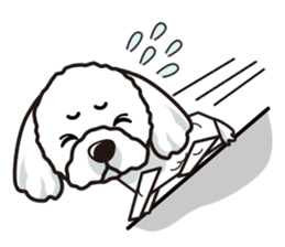 iinu - Maltese sticker #3870954