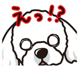 iinu - Maltese sticker #3870955