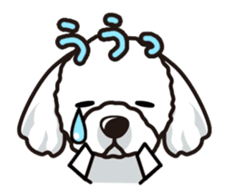 iinu - Maltese sticker #3870958