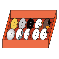 Cats in food box