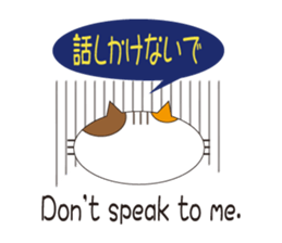 Cats in food box sticker #3871566