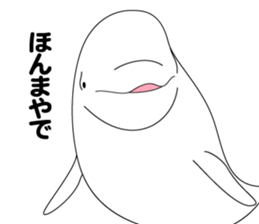 DOLPHINS ALL OVER!! sticker #3872970