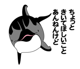 DOLPHINS ALL OVER!! sticker #3872972