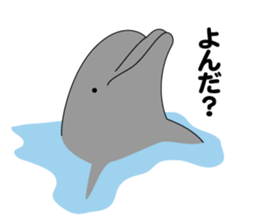 DOLPHINS ALL OVER!! sticker #3872974