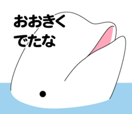 DOLPHINS ALL OVER!! sticker #3872979