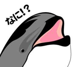 DOLPHINS ALL OVER!! sticker #3872984