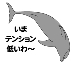 DOLPHINS ALL OVER!! sticker #3872986