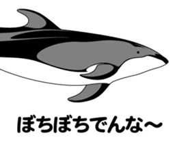 DOLPHINS ALL OVER!! sticker #3872990