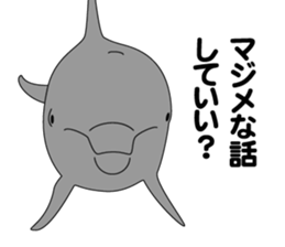 DOLPHINS ALL OVER!! sticker #3872992