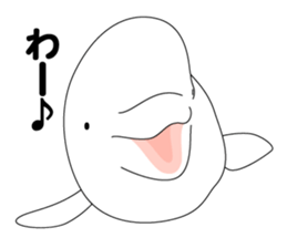 DOLPHINS ALL OVER!! sticker #3872997