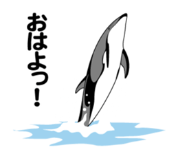 DOLPHINS ALL OVER!! sticker #3872998