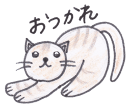 Chatra-chan the cat sticker #3873928