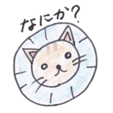Chatra-chan the cat sticker #3873929