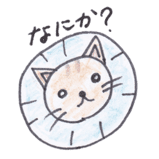 Chatra-chan the cat sticker #3873929