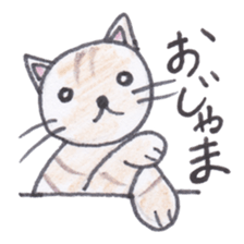 Chatra-chan the cat sticker #3873932