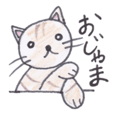 Chatra-chan the cat sticker #3873932