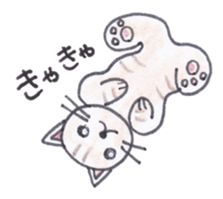 Chatra-chan the cat sticker #3873934