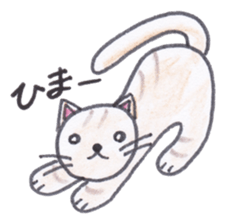 Chatra-chan the cat sticker #3873936