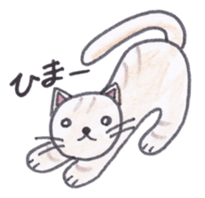 Chatra-chan the cat sticker #3873936