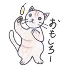 Chatra-chan the cat sticker #3873938