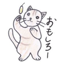 Chatra-chan the cat sticker #3873938