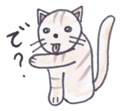 Chatra-chan the cat sticker #3873939