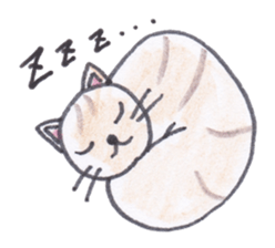 Chatra-chan the cat sticker #3873940