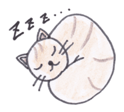 Chatra-chan the cat sticker #3873940