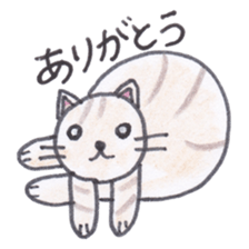 Chatra-chan the cat sticker #3873941