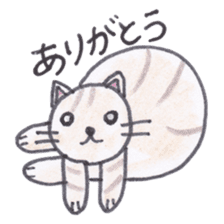 Chatra-chan the cat sticker #3873941