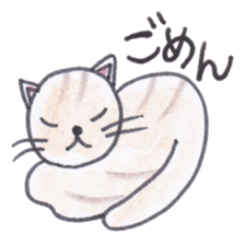 Chatra-chan the cat sticker #3873945