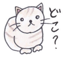 Chatra-chan the cat sticker #3873946