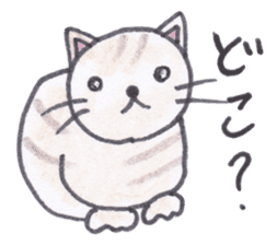 Chatra-chan the cat sticker #3873946