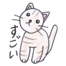 Chatra-chan the cat sticker #3873948