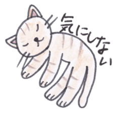 Chatra-chan the cat sticker #3873949