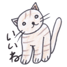 Chatra-chan the cat sticker #3873950