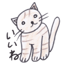 Chatra-chan the cat sticker #3873950